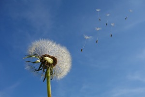 苹果电视棒