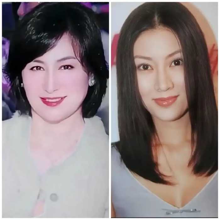 赌王何鸿燊曾扬言他的女儿超琼比李嘉欣漂亮多了,评论区砸开了锅