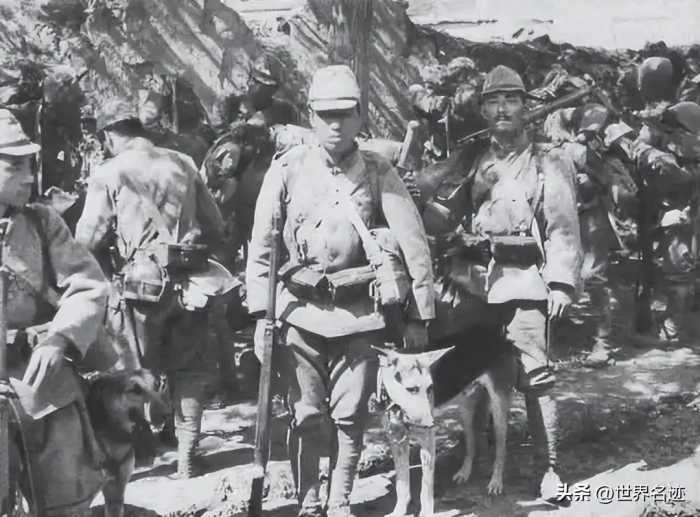 1943年，女子在山沟生下日军孩子，扔掉说：即便遭报应我也不要他