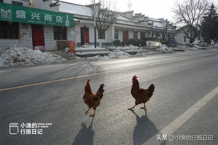 秦岭海拔1500米“豆腐村”，横跨中国南北，每户农家乐只卖豆腐