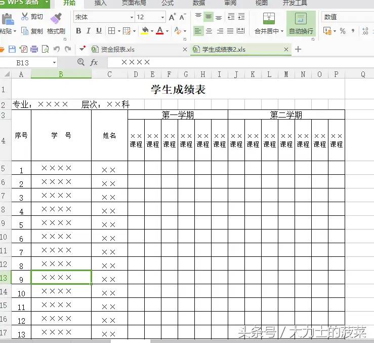 Excel实战技巧精粹：Excel模板大全1000例