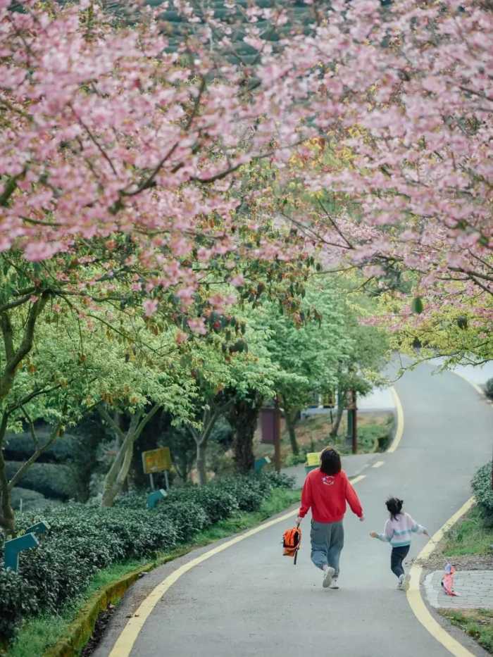 小夫妻在5.9㎡阳台种菜，疫情下蔬果不断