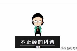 2021没封的网站有人分享吗